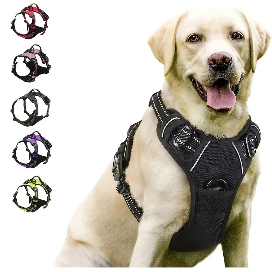 Chic Leather Dog Harness Set