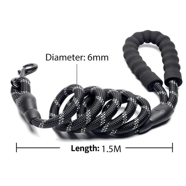 Reflective Dog Leash for All Sizes