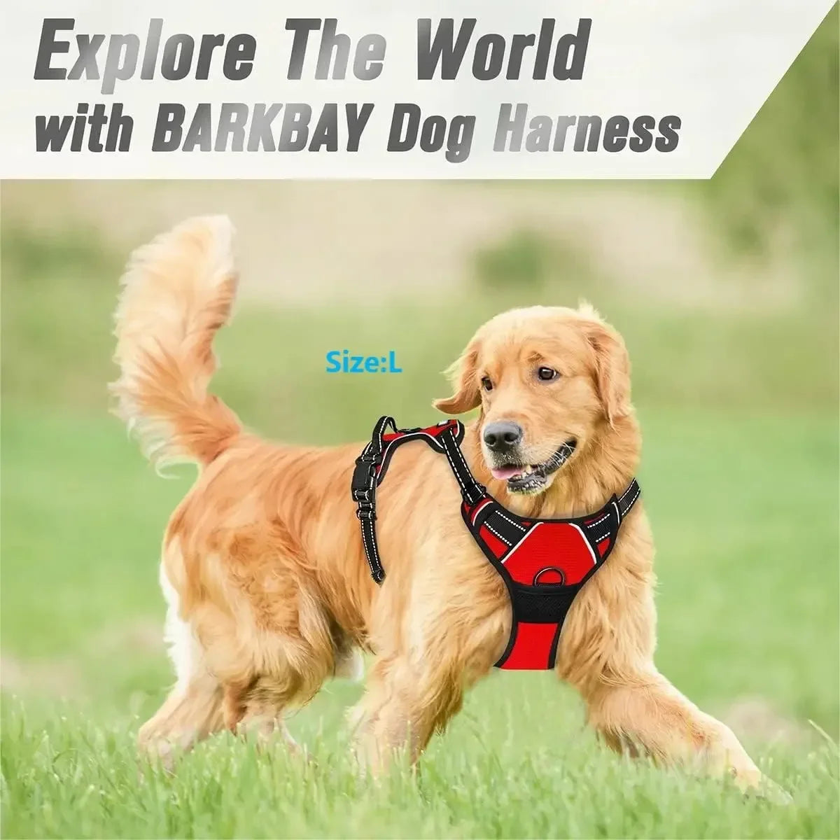 Chic Leather Dog Harness Set