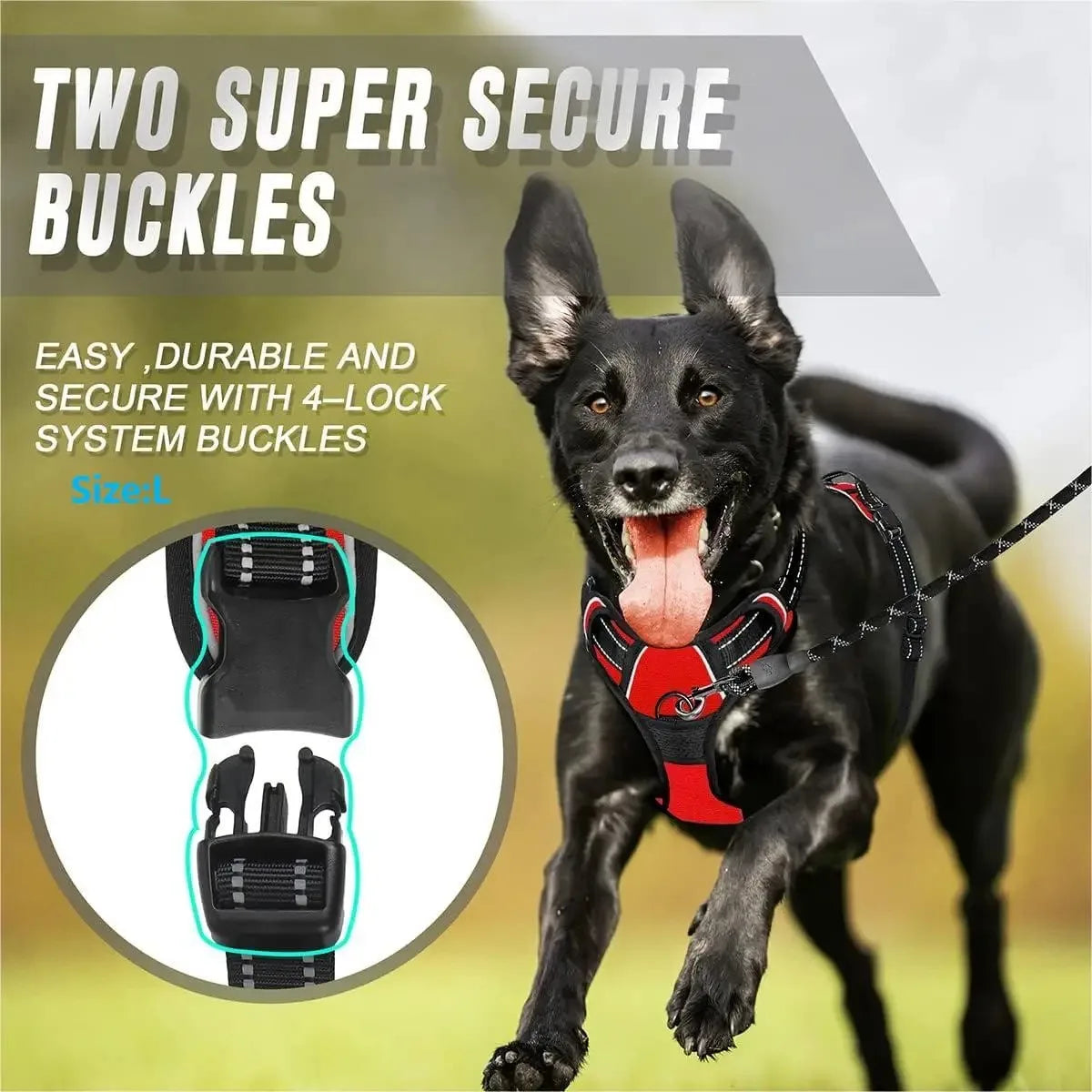 Chic Leather Dog Harness Set