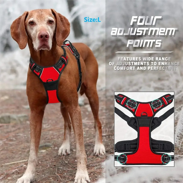 Chic Leather Dog Harness Set