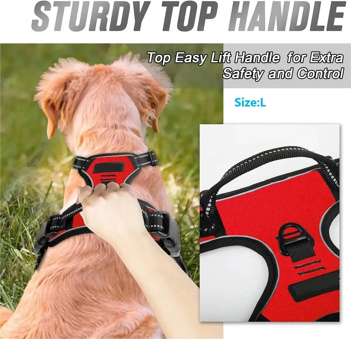 Chic Leather Dog Harness Set